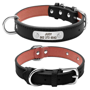 Durable Personalized Leather Padded Dog Collar - 4 Sizes - Polly's Pet Products