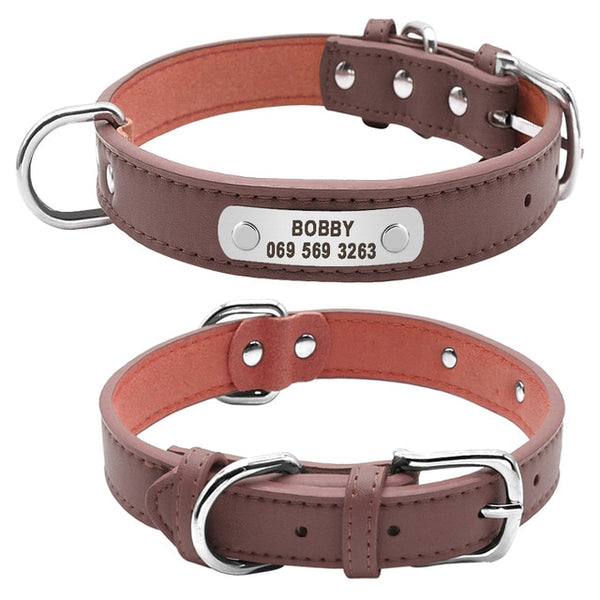 Durable Personalized Leather Padded Dog Collar - 4 Sizes - Polly's Pet Products