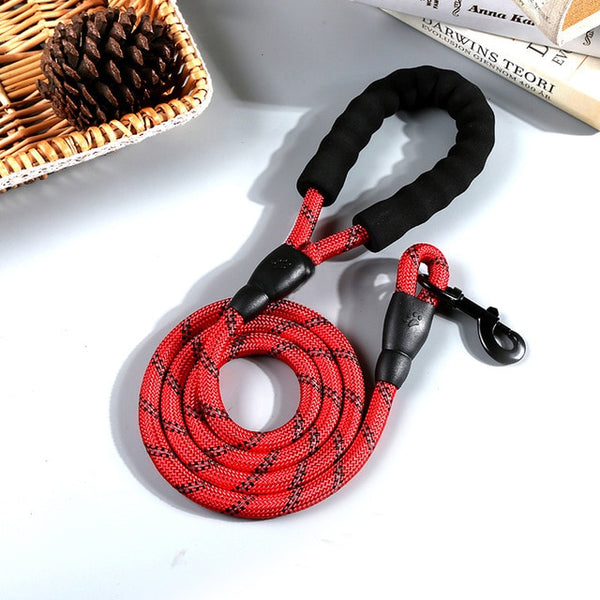 Reflective Durable Nylon Dog Leash - 2m - Polly's Pet Products