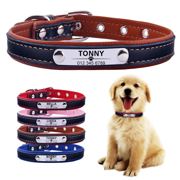 Adjustable Custom Engraved Leather Dog Collar - XS-L - Polly's Pet Products